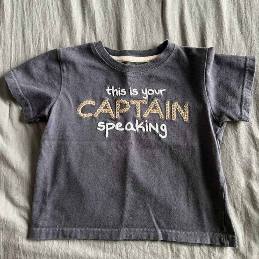 Blue Gymboree Embroidered toddler t-shirt size 2T